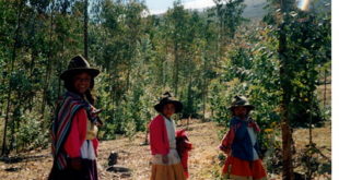 Donne bambine peruviane scomparse