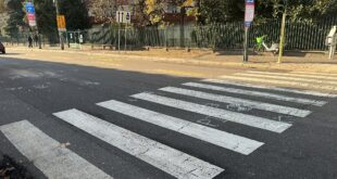 Donna investita viale Serra